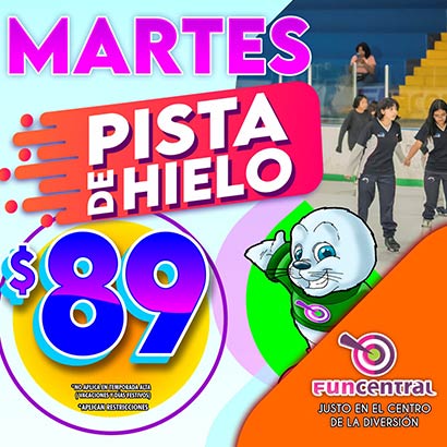 Pista de Hielo